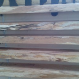 Selection of Spalted Beech Timber